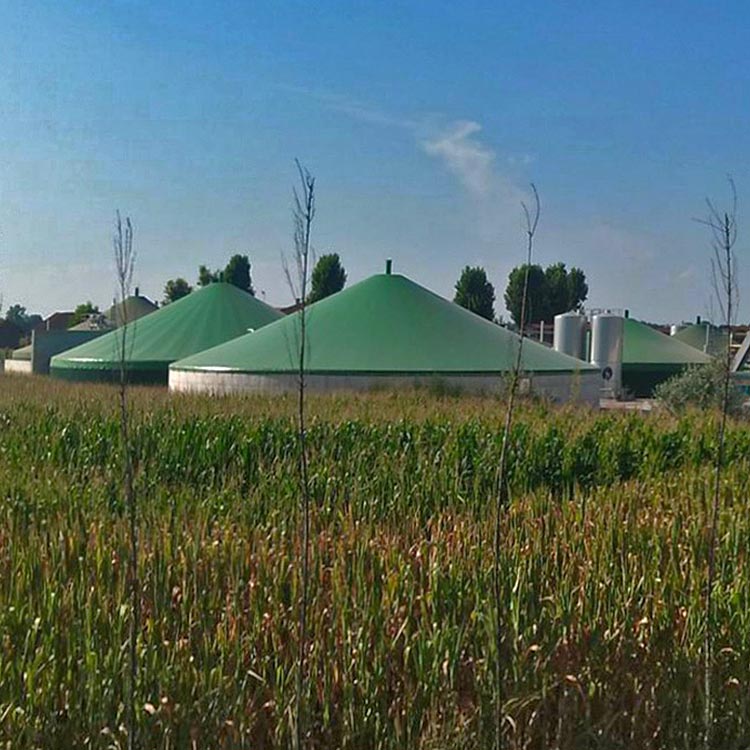 Nordic biogas company uses market research to make strategic decision on China market entry