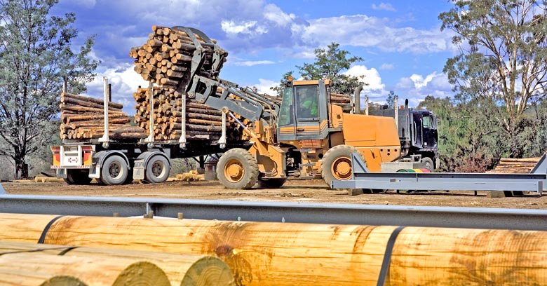 Loading timber onto a truck